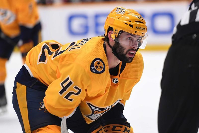 SWISS ARMY KNIFE ON ICE: Blackwell ready to help Predators in playoffs however he canĀ